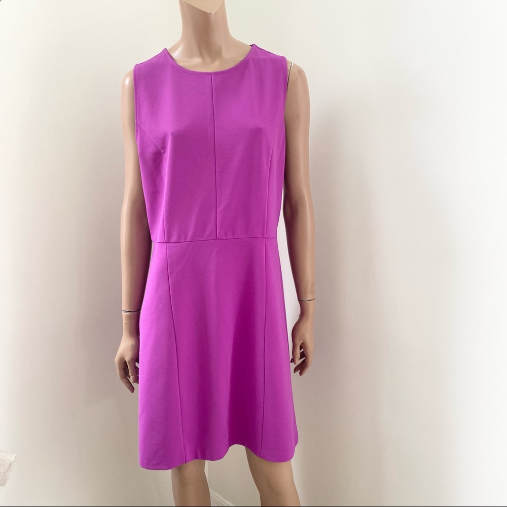 The Limited Pink Sleeveless Dress